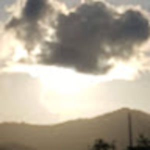 Meet your Posher, Leo